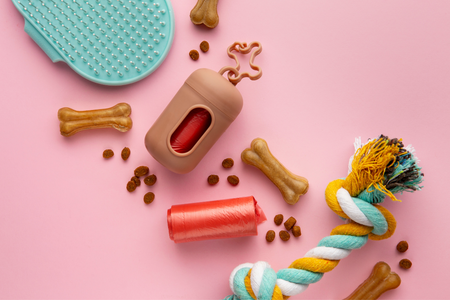 Image THE MOST ANIMAL ROUTE IN MÓSTOLES