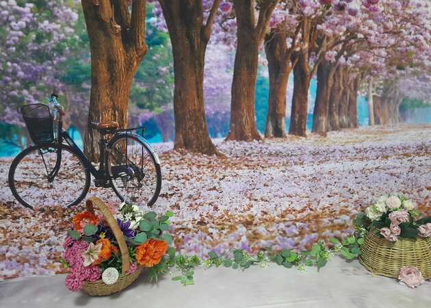 Galería de imágenes Fotos segura 1