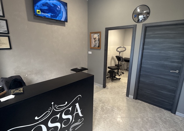 Galería de imágenes NOSSA TATTOO 1
