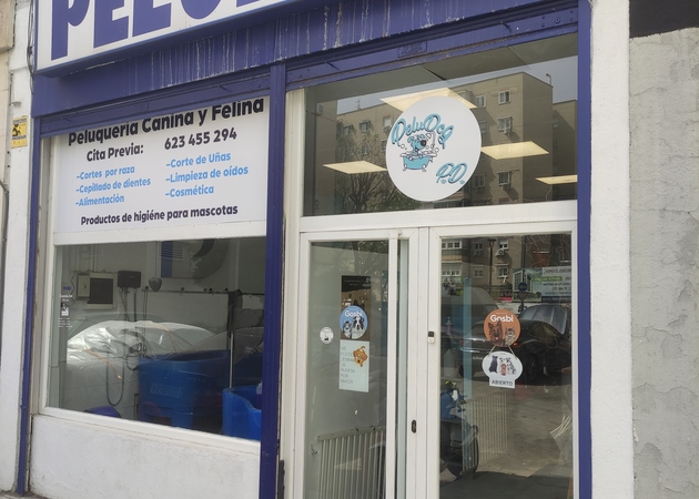 Image gallery Peludog 1