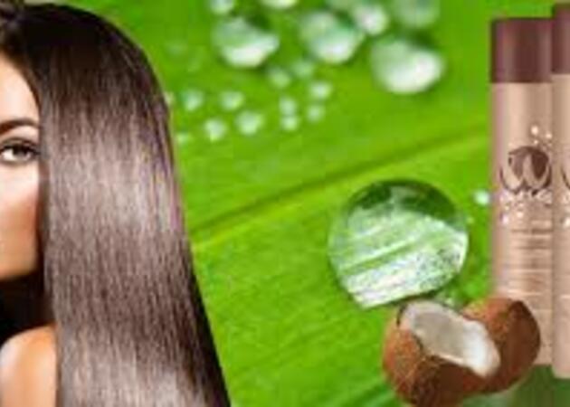 Galería de imágenes Hidden Beauty 8