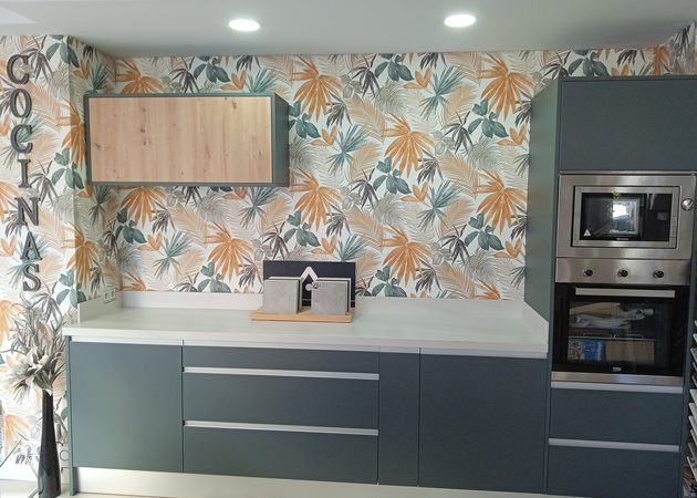 Galería de imágenes REFORMAS ROME 1