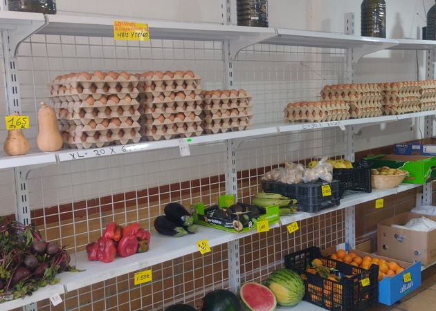 Galería de imágenes ARTE. SANO EXPRESS 1