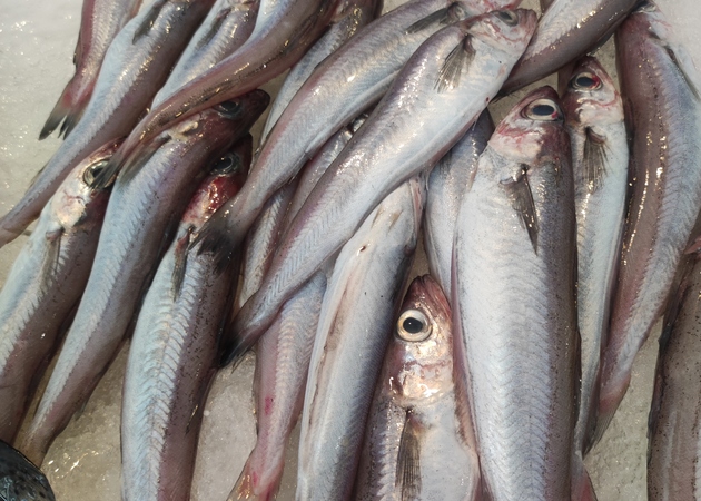 Image gallery SAMUEL SIERRA FISH MARKET 1
