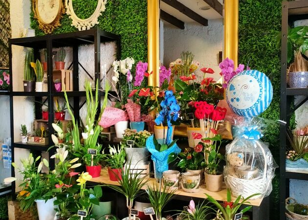 Galería de imágenes FLORISTERÍA JARDÍN DE ALICIA 1