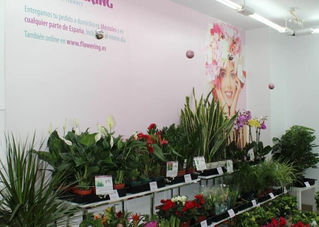 Galería de imágenes FLOWERING MÓSTOLES 1