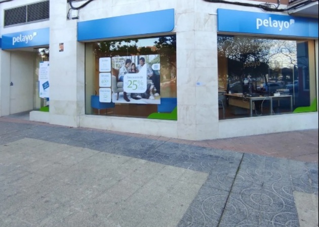 Image gallery PELAYO INSURANCE 1