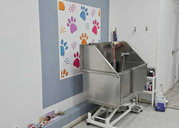 Galería de imágenes PELU HUELLAS 1