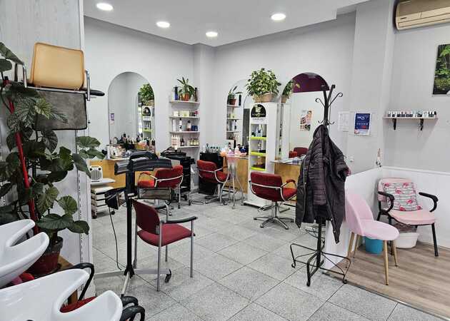 Image gallery ALBIS HAIR SALON 1