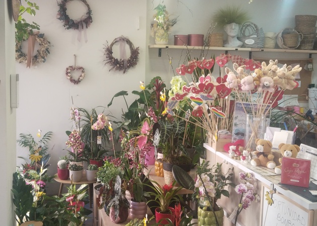 Galería de imágenes LAS FLORES DE CARLOS 1