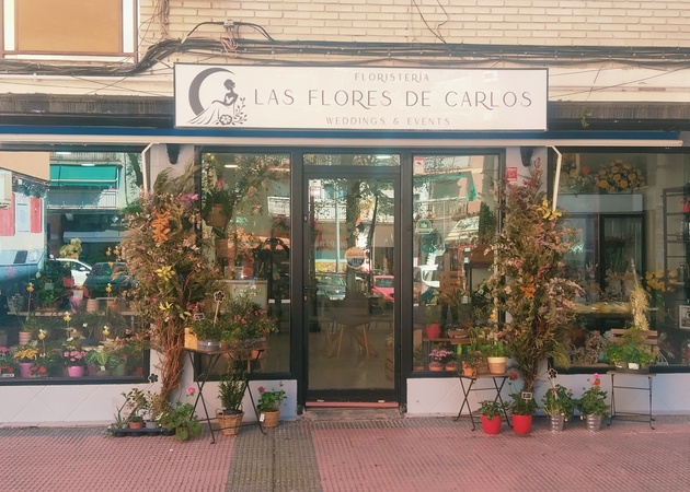 Galería de imágenes LAS FLORES DE CARLOS 2