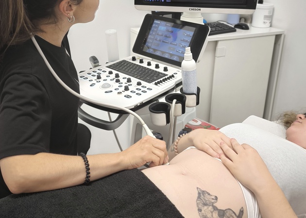 Galería de imágenes FISIODOMAN 1