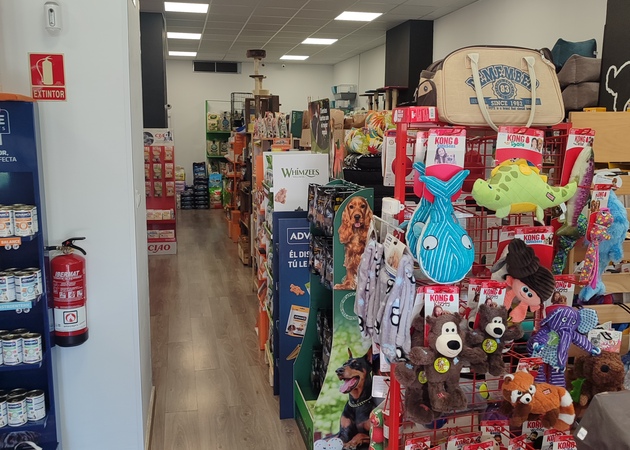 Image gallery COOL DOGS EVERYTHING FOR YOUR PET 1