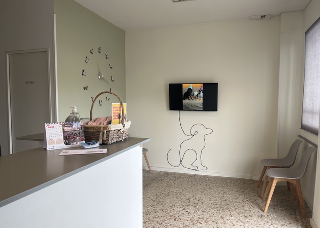 Image gallery Pet Clinic 1