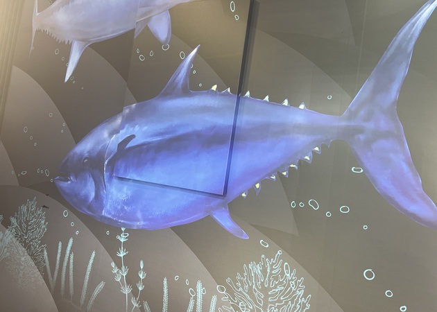 Image gallery Tito's Fish Shop 1