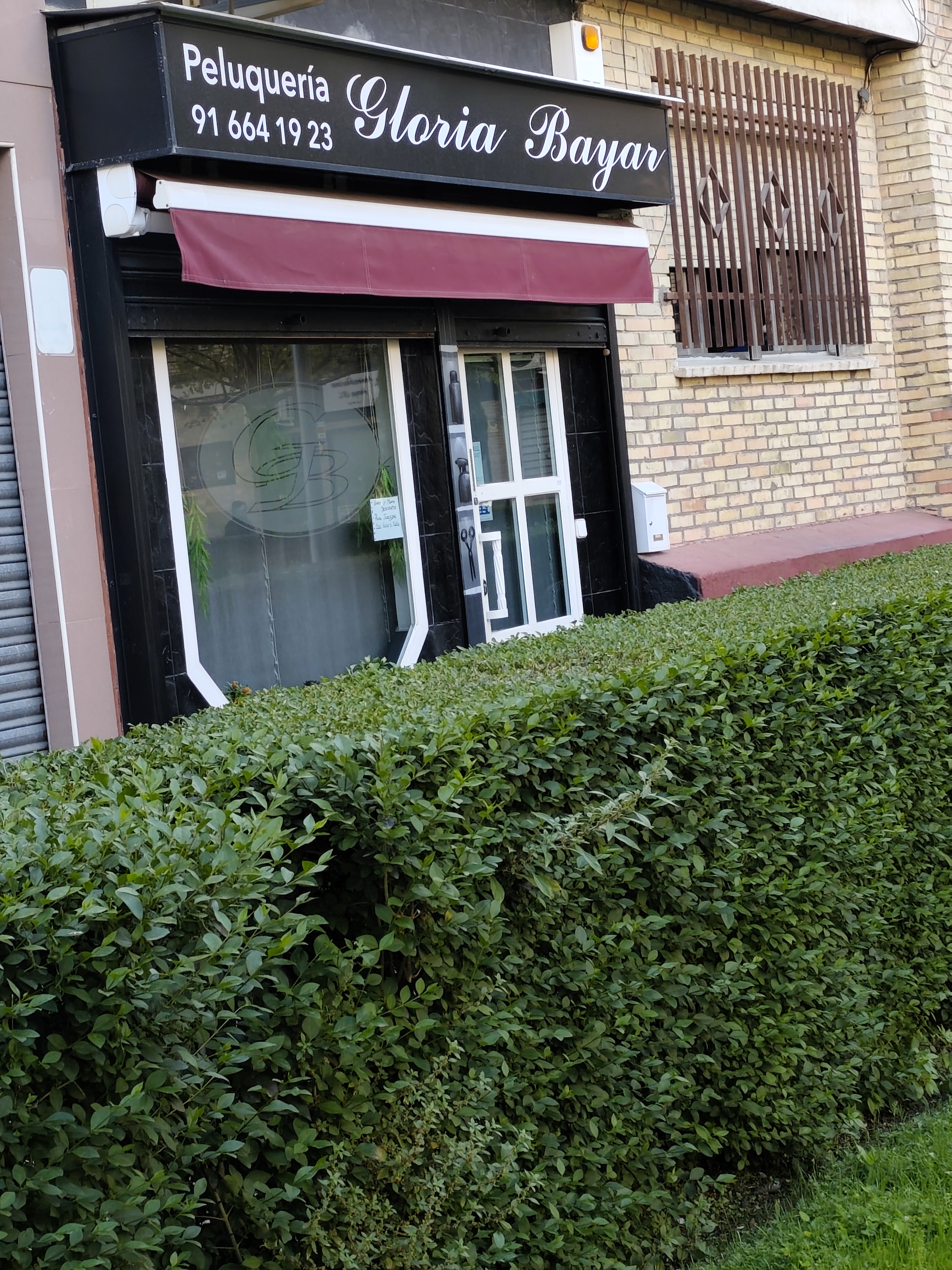 Foto de portada Gloria Bayar