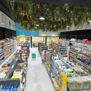 Foto de portada Qanimals