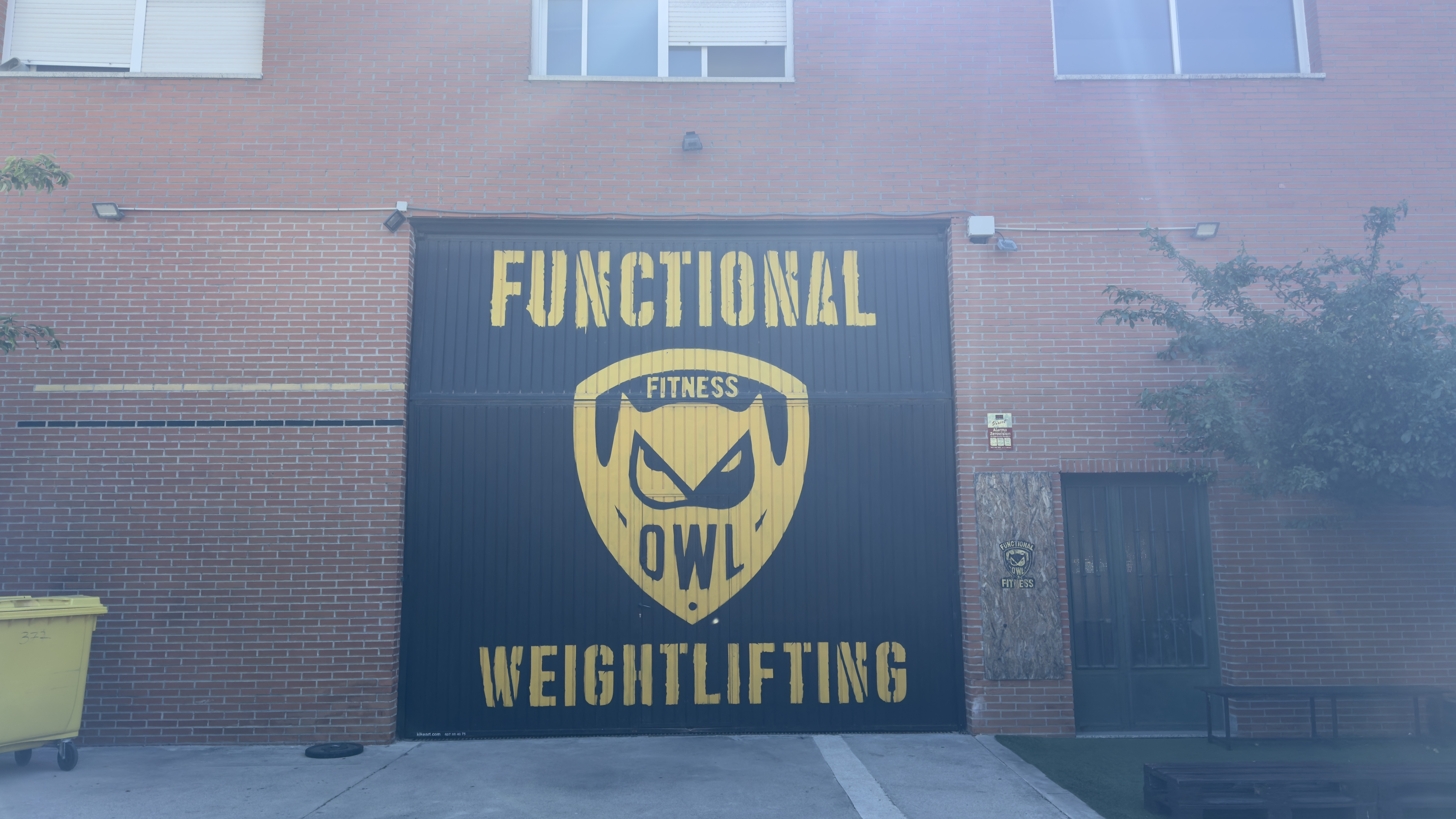 Thumbnail Owl gymnastic fitness