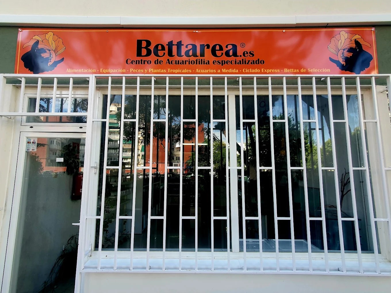 Foto de portada Bettarea