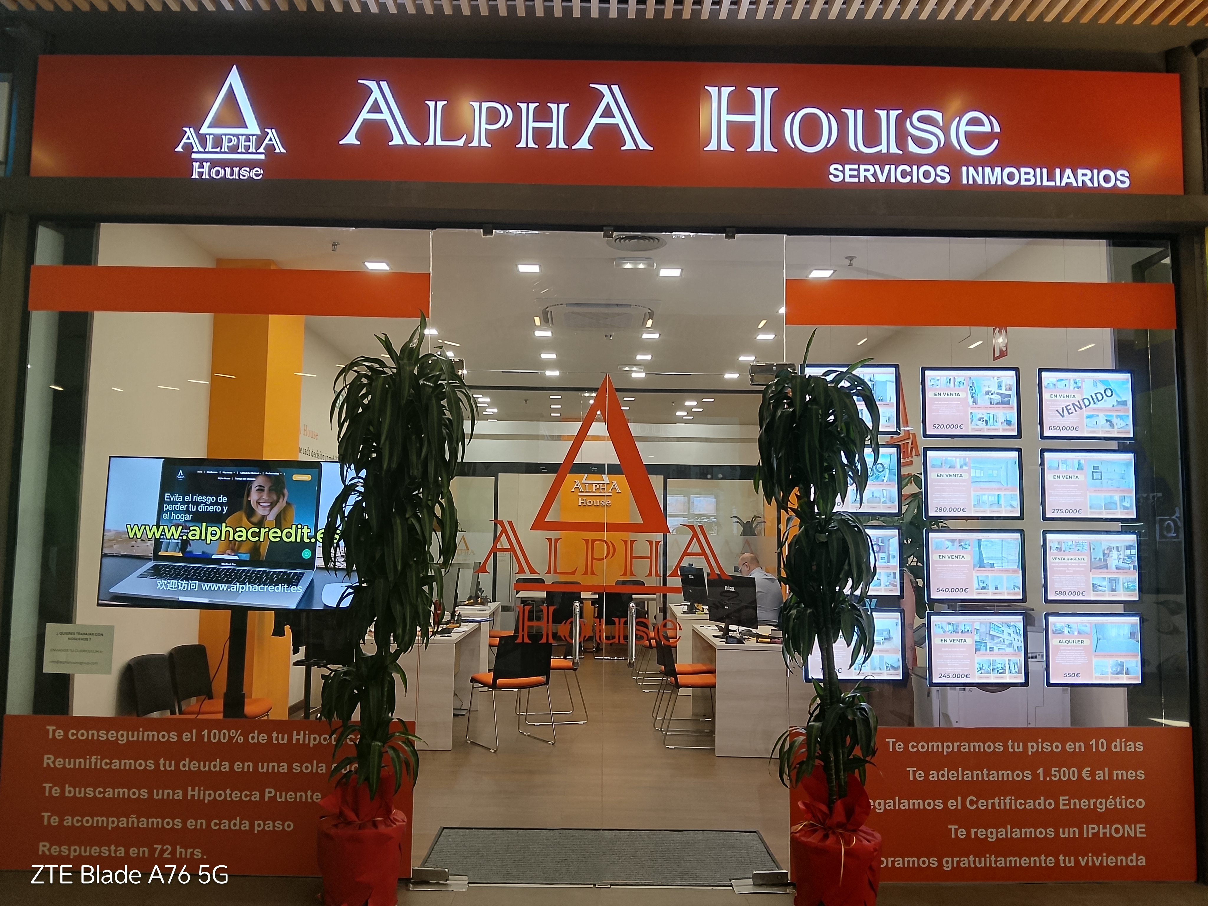 Thumbnail ALPHA HOUSE