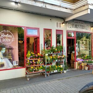 Foto de portada FLORISTERÍA JARDÍN DE ALICIA