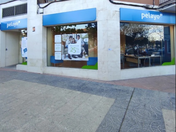Thumbnail PELAYO INSURANCE