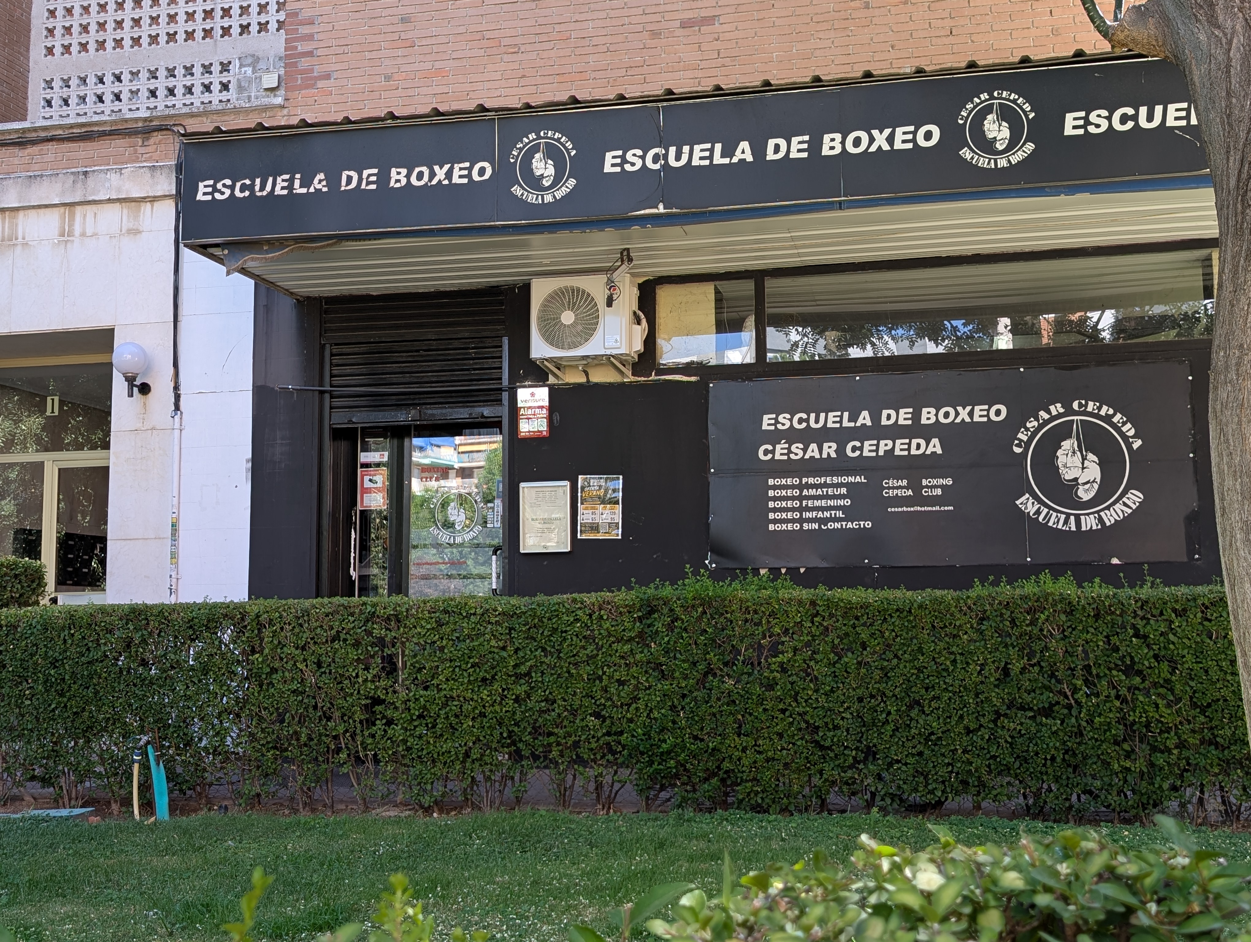 Foto de portada ESCUELA DE BOXEO CÉSAR CEPEDA