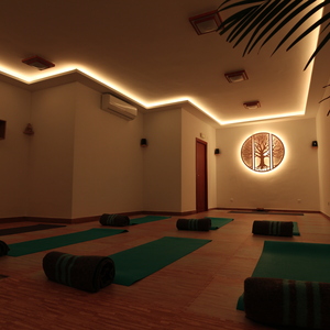 Thumbnail Anahata Yoga Center