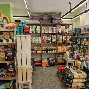 Foto de portada MASCOLIFE MASCOTAS