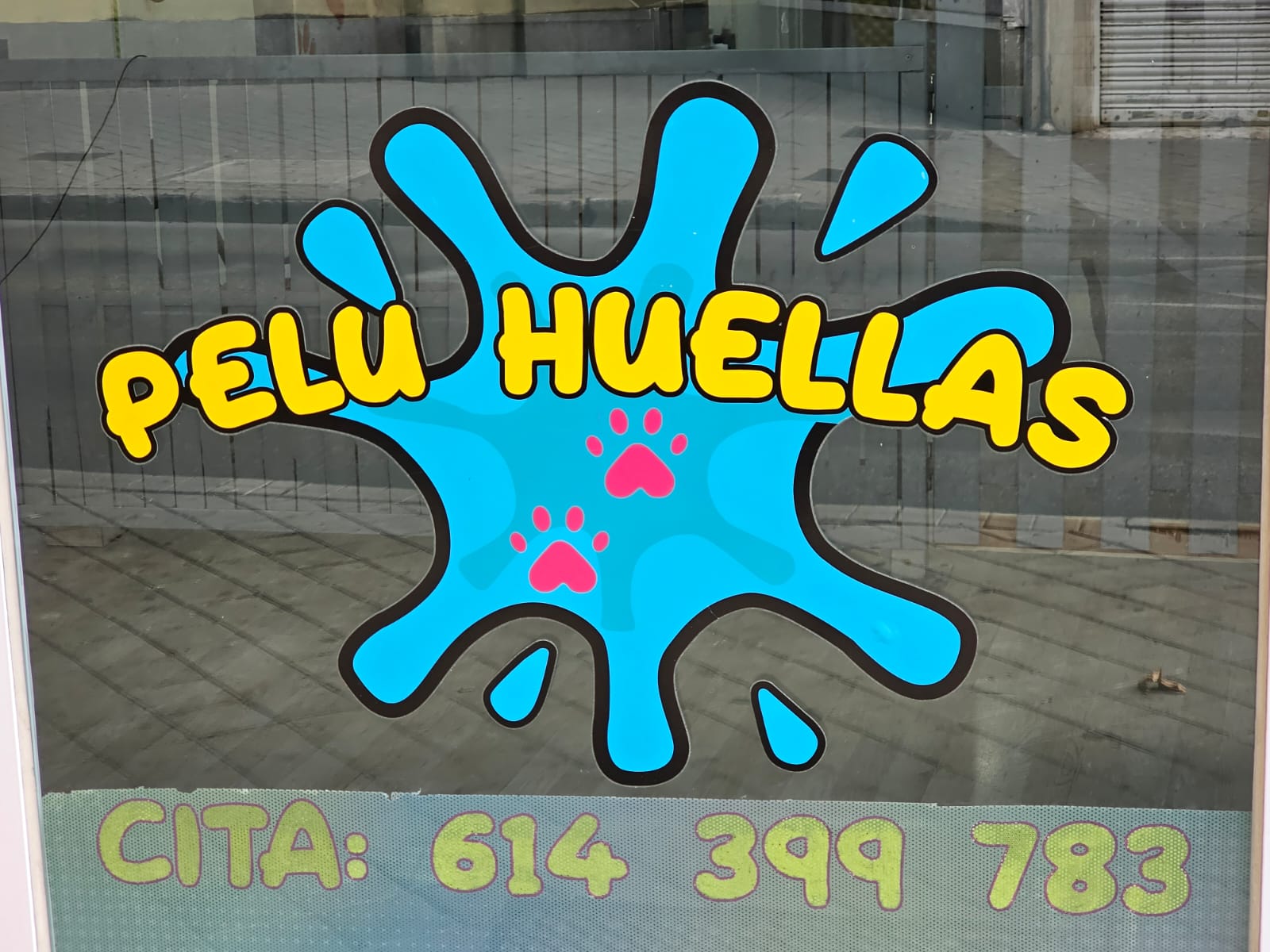 Foto de portada PELU HUELLAS