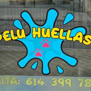 Foto de portada PELU HUELLAS