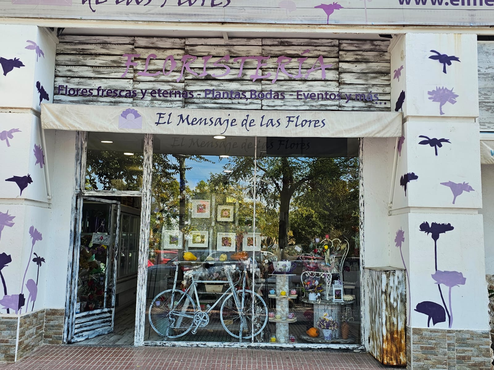 Foto de portada EL MENSAJE DE LAS FLORES