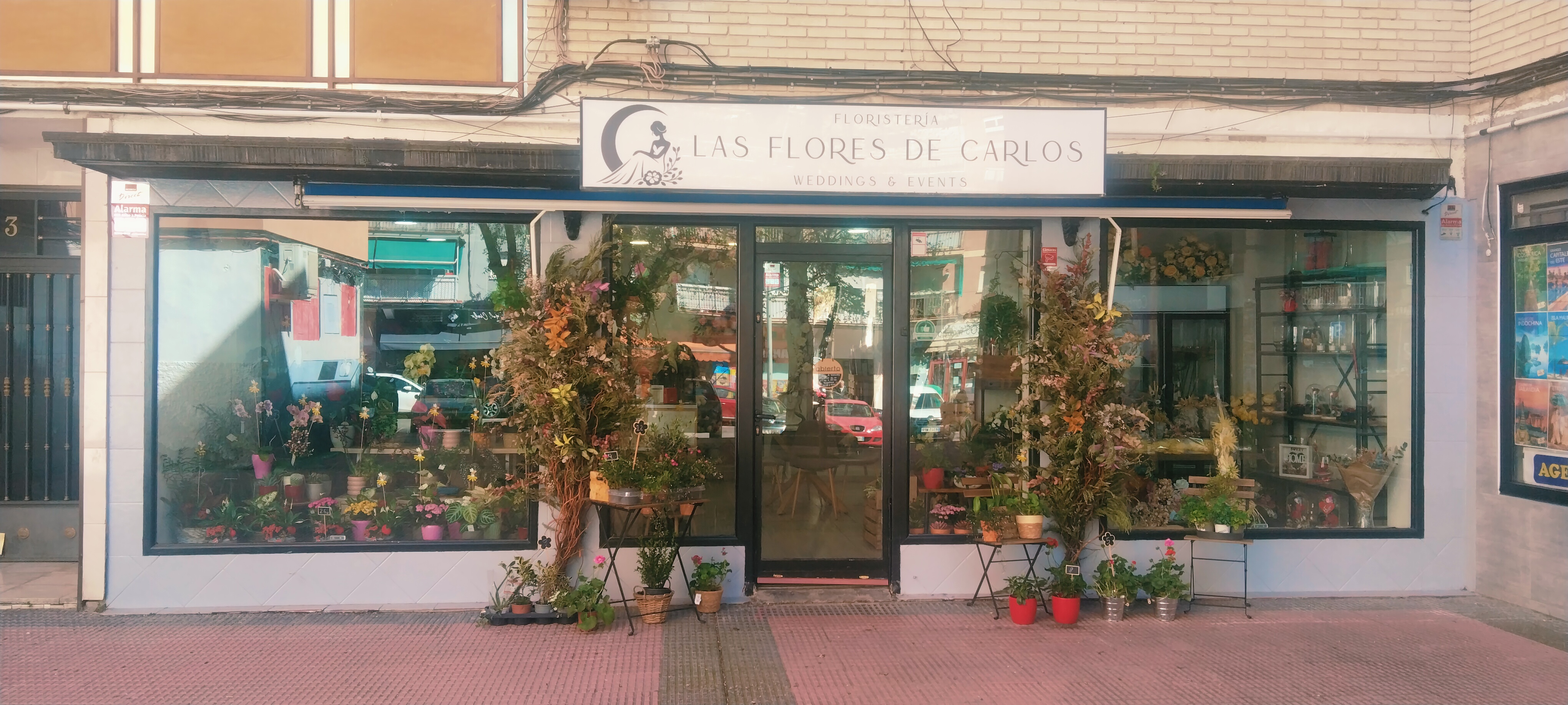 Foto de portada LAS FLORES DE CARLOS