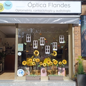 Thumbnail OPTICS OF FLANDERS