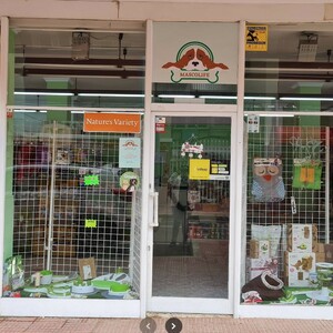 Foto de portada MASCOLIFE