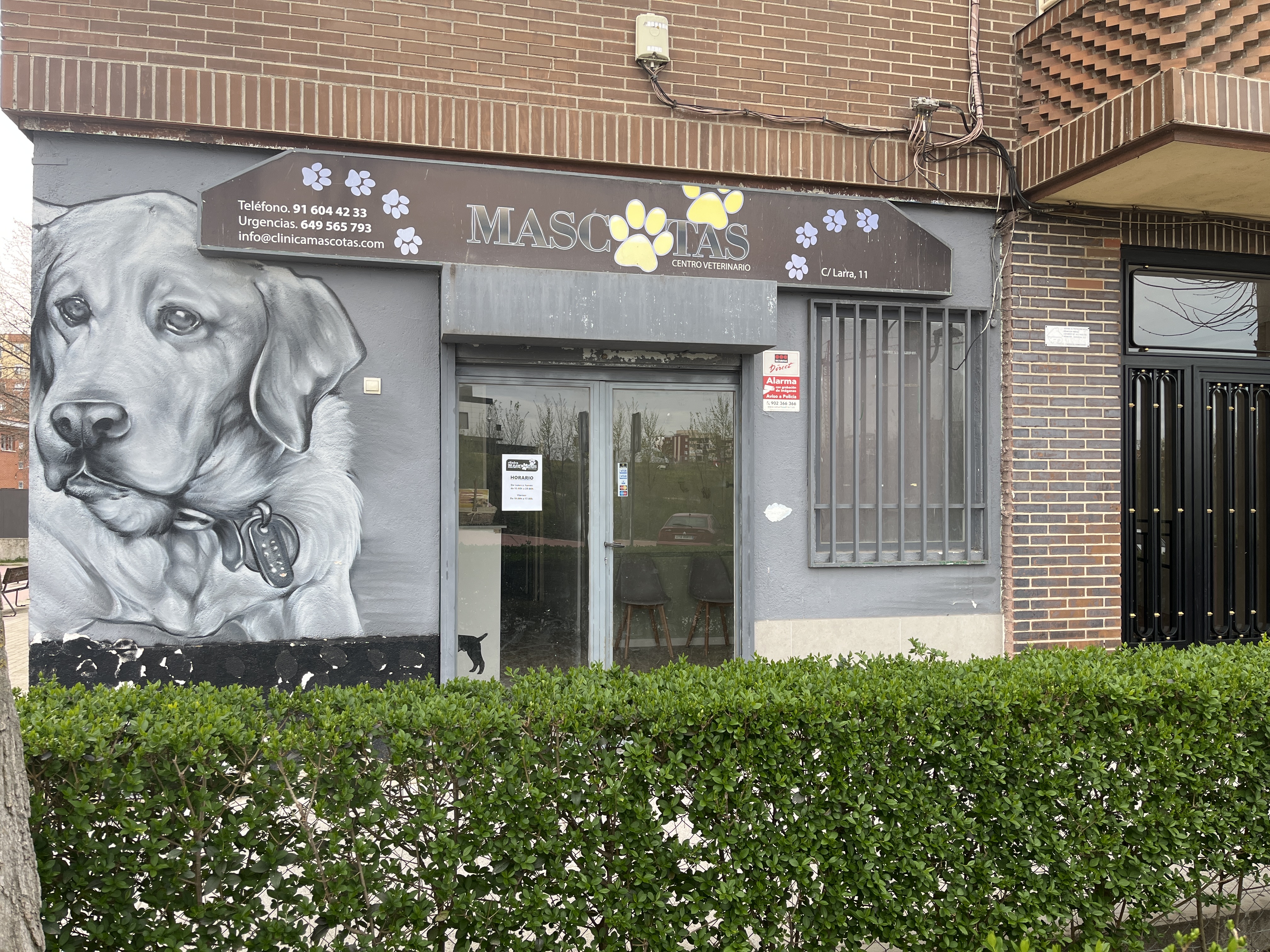 Foto de portada Clínica Mascotas