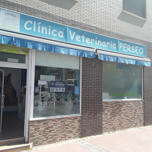 Foto de portada CLINICA VETERINARIA PERSEO